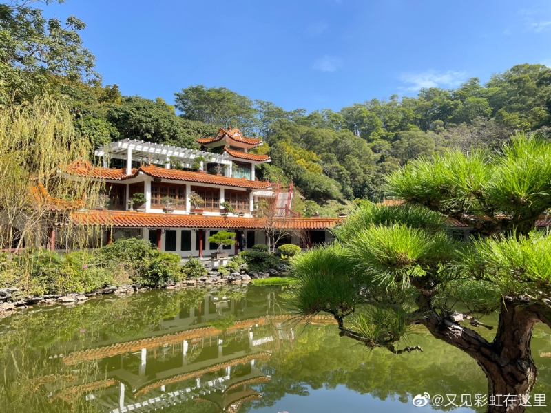 仙湖植物園被國家旅遊局評為國家AAAA級風景區。（圖片來源：小紅書@又見彩虹在這里）