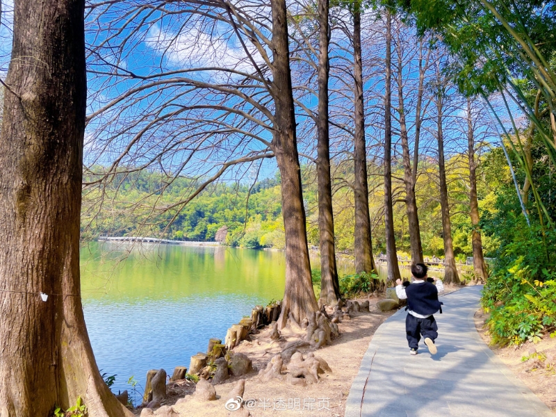 佔地546公頃。（圖片來源：小紅書@又見彩虹在這里）