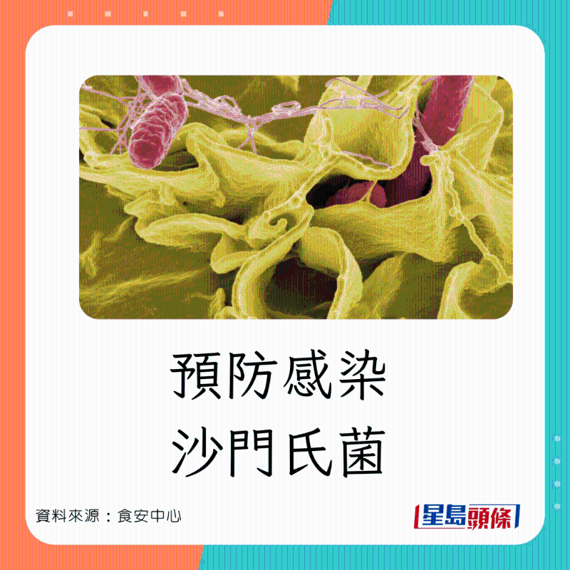 預防感染沙門氏菌