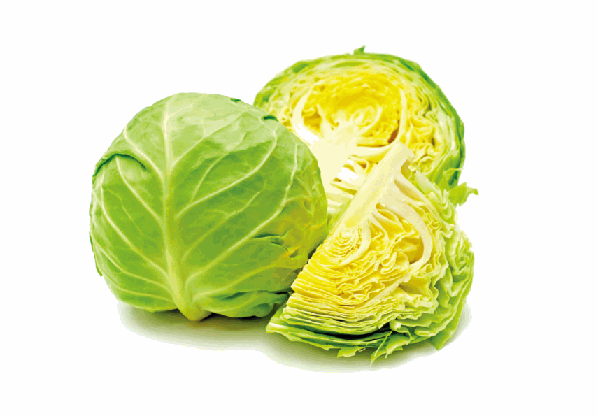 有助護髮的6種食物：椰菜