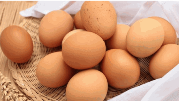 3招分辨雞蛋新鮮程度及品質 3招分辨雞蛋新鮮程度及品質