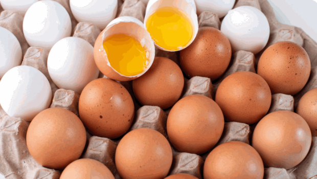 正確處理雞蛋的方法 正確處理雞蛋的方法