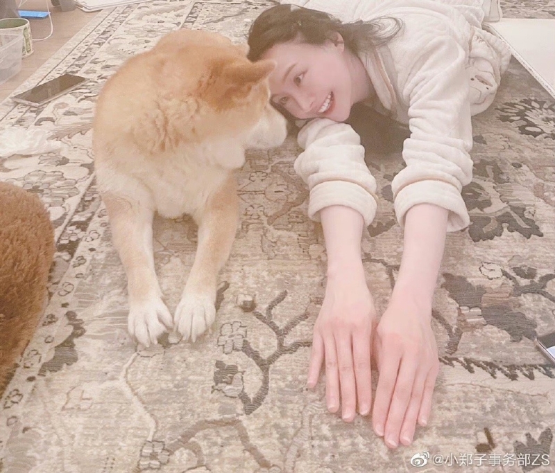 鄭爽粉絲稱是惡意P圖，并曬圖回擊