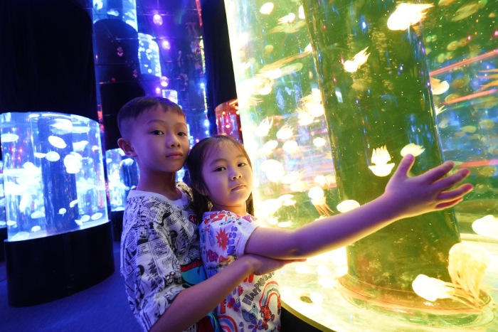 夢幻水母萬花筒猶如一個巨大萬花，繽紛奪目，水母品種非常豐富。
