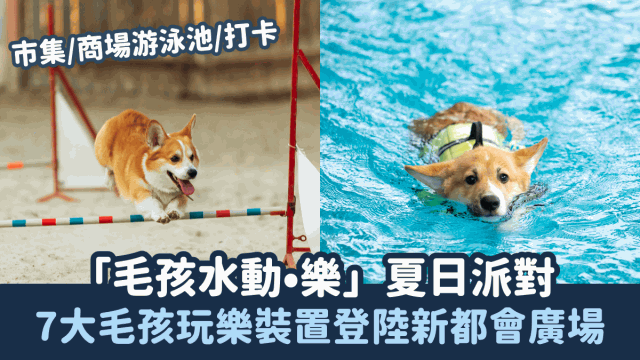 7大毛孩玩樂裝置登陸葵芳新都會廣場，市集、商場游泳池、打卡