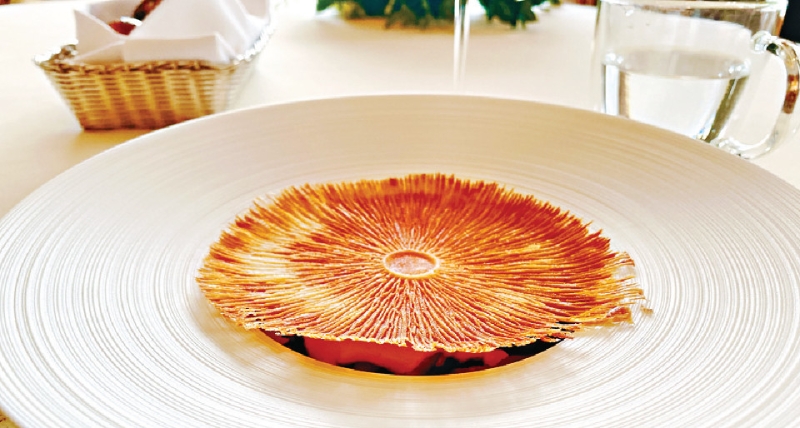 Champignons Sauvage Champignons Sauvage