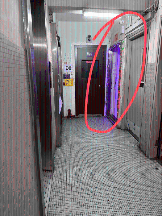 該內地女子表示，一層四戶，其余三戶全是鳳姐。