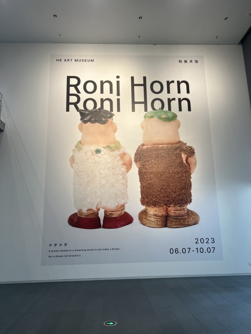 和美術館 Roni Horn《非夢亦夢》展覽，展期至2023年10月7日。圖：Trip@飛奔中的狼8