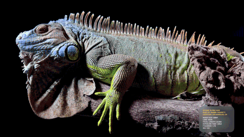 最新的A17 Pro Bionic仿生芯片，采用3nm制程，具備6核CPU及6核GPU，并內置AV1解碼器，速度比A16提升10%，圖像處理更能媲美桌面電腦。