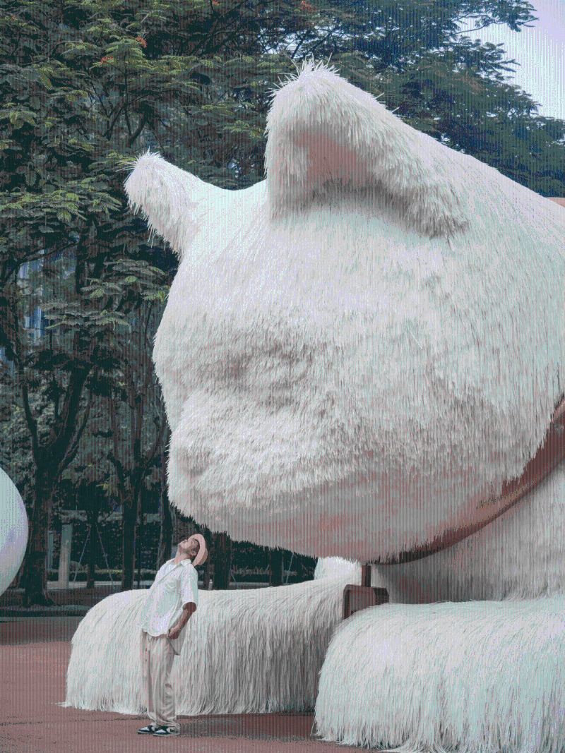 毛茸茸的巨貓超可愛(圖片來源:小紅書) 毛茸茸的巨貓超可愛(圖片來源:小紅書)
