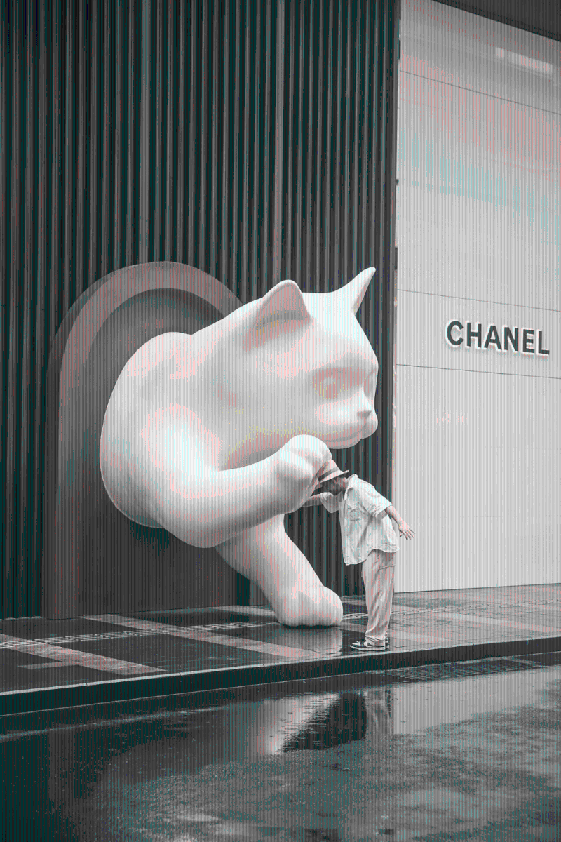 與巨型貓咪擊掌(圖片來源:小紅書) 與巨型貓咪擊掌(圖片來源:小紅書)