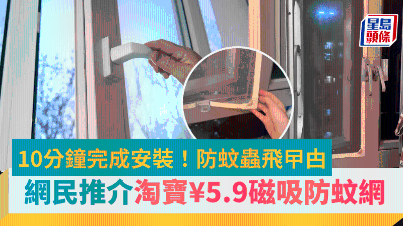 網民淘寶5.9買磁吸防蚊網，10分鐘安裝，防蚊蟲蟑螂，養貓都適用？