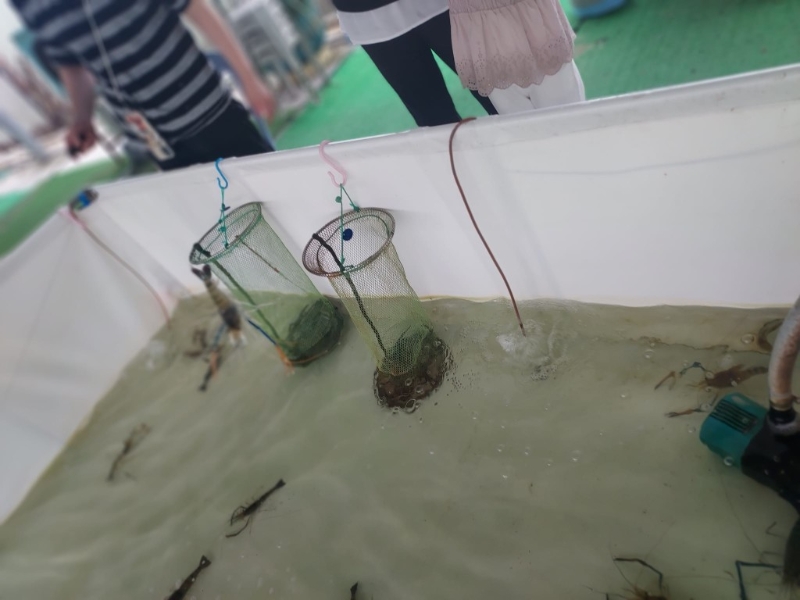 農莊設有釣蝦、釣魚場，即釣即燒夠新鮮惹味。 （圖片來源：天水圍富來休閑農莊及釣魚場）