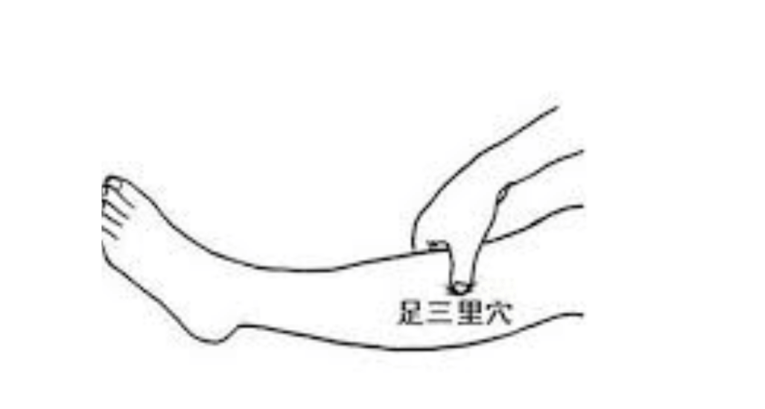 足三里穴 足三里穴