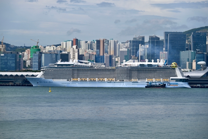 郵輪海洋光譜號8月4日停泊于香港啟德郵輪碼頭的資料圖 郵輪海洋光譜號8月4日停泊于香港啟德郵輪碼頭的資料圖