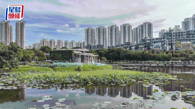 “減辣”能吸引人才來港置業。