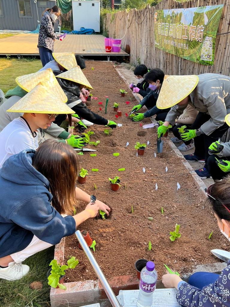 農莊種植體驗 農莊種植體驗