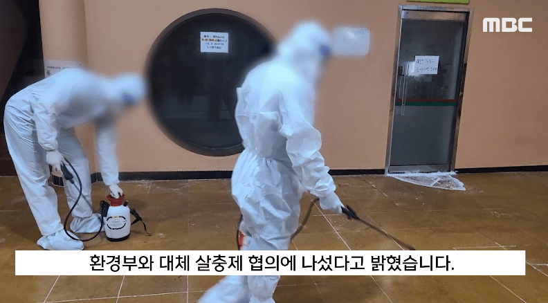 滅蟲人員噴灑藥水消滅床蝨（影片截圖：MBC）