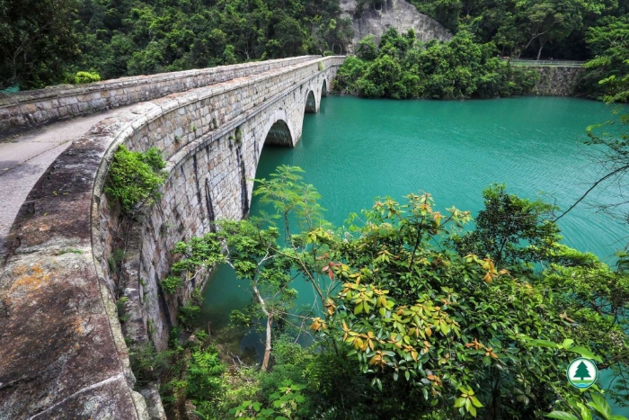 大潭郊野公園—大潭篤水塘 大潭郊野公園—大潭篤水塘
