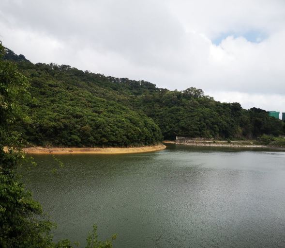 薄扶林水塘 薄扶林水塘