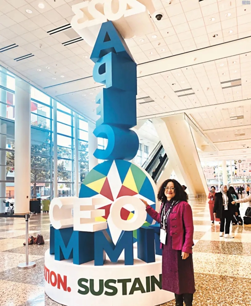 參加APEC CEO高峰會的魏冰。