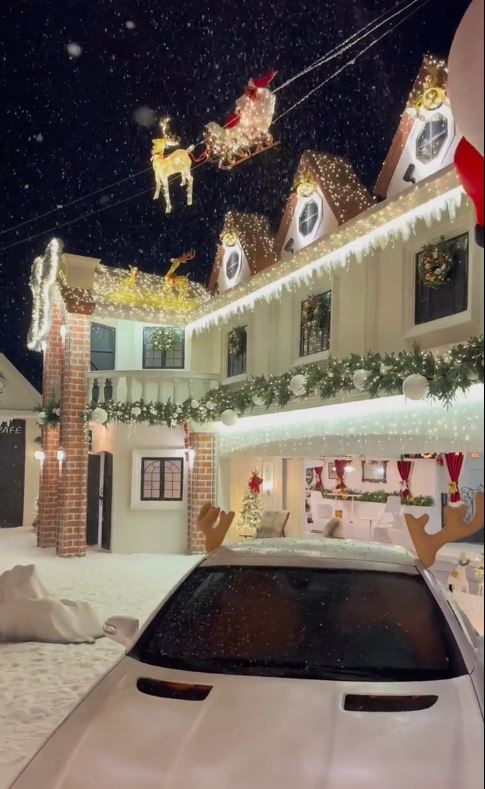 龍岡Blue Concept Cafe&Farm 關于藍，于指定時間落雪，營造大雪紛飛的浪漫氛圍，讓人恍如置身于北歐之中。