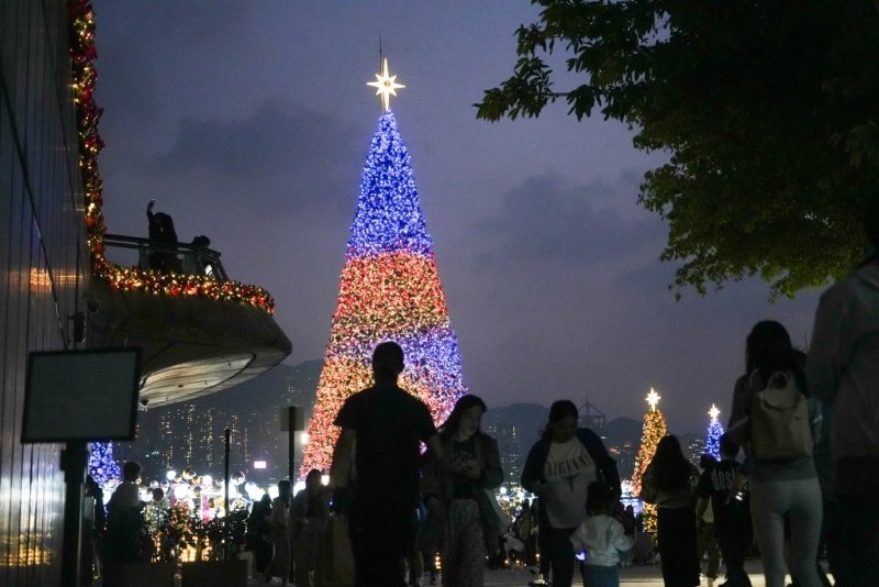 圣誕樹今日在草坪西面亮燈。 吳艷玲攝
