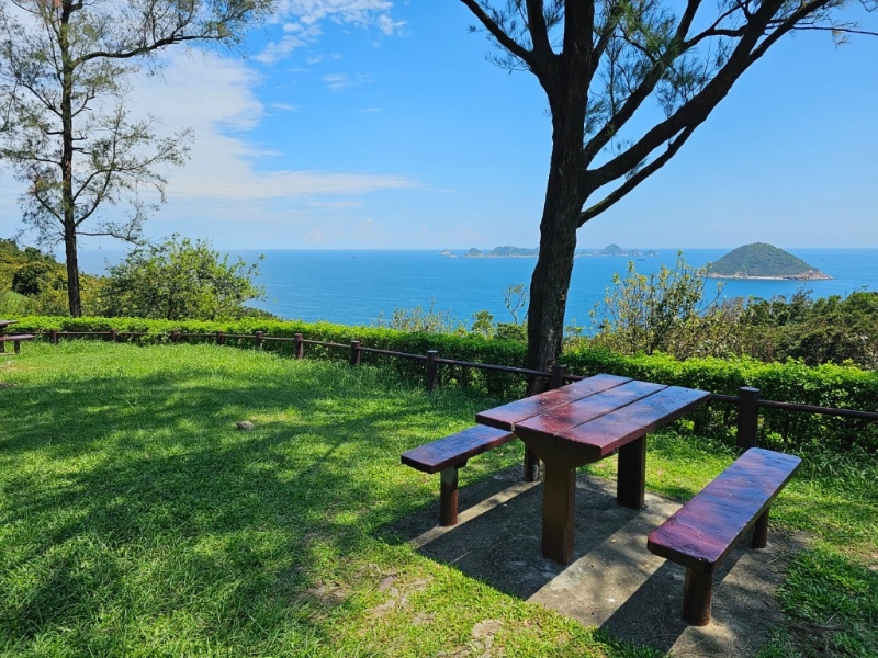 望著無遮擋海景野餐，比去海 景餐廳經濟得多。