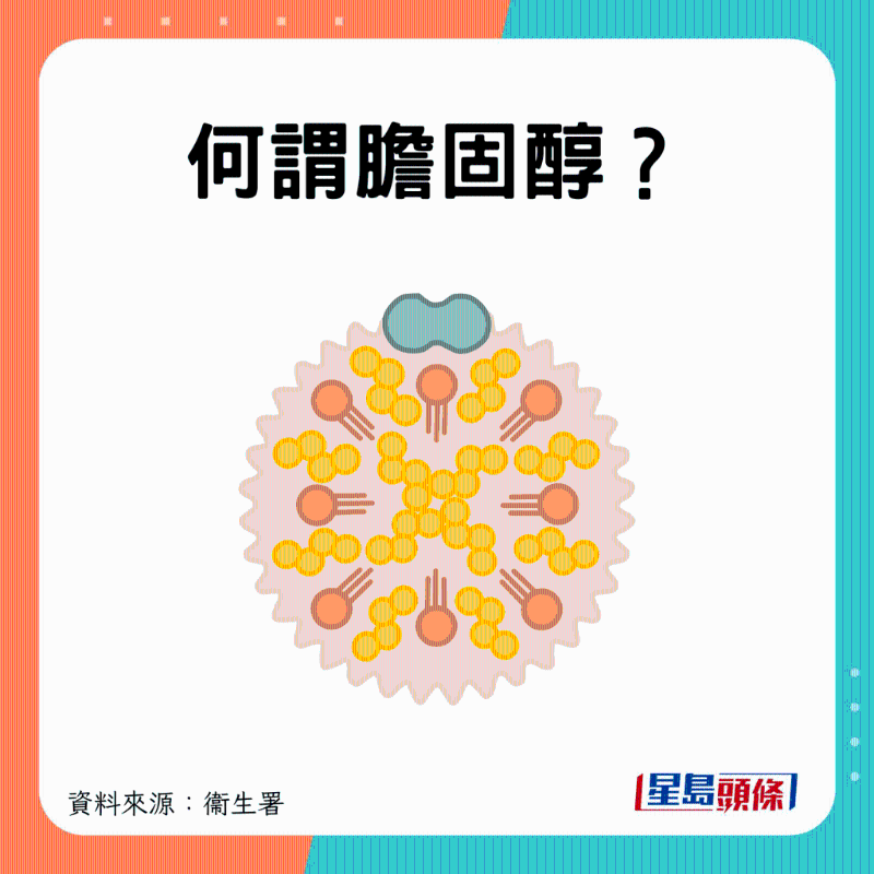 甚么是膽固醇？