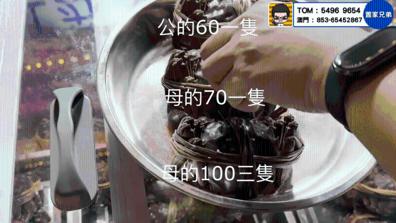 公大閘蟹￥60一只，母大閘蟹￥70一只、3只￥100 （圖片來源：Youtube@ CKBRO 置家兄弟）