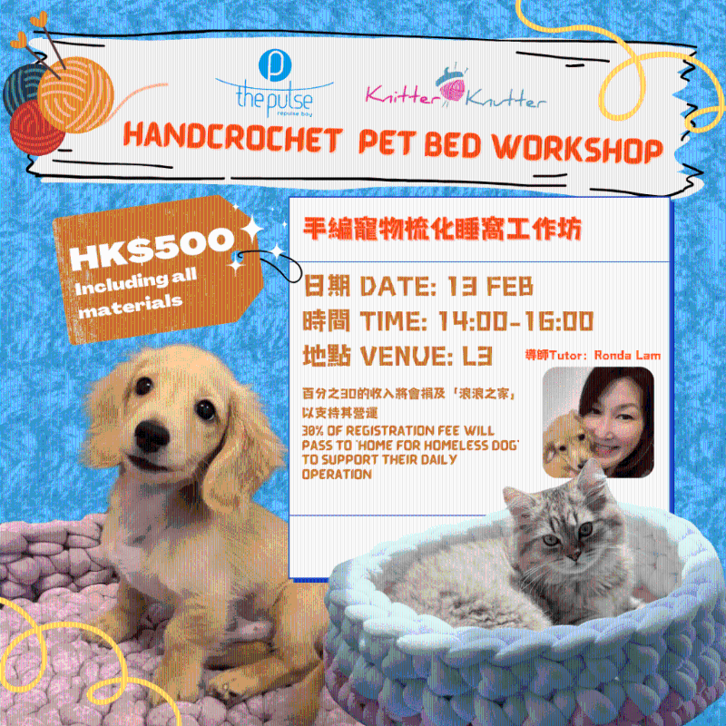 手織狗狗梳化睡窩工作坊