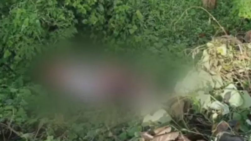 中國商人曾氏一家6口遭綁架殺害 中國商人曾氏一家6口遭綁架殺害