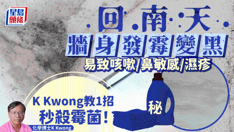 回南天墻身潮濕發霉變黑 回南天墻身潮濕發霉變黑