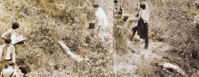 寶馬山雙尸案3 寶馬山雙尸案3