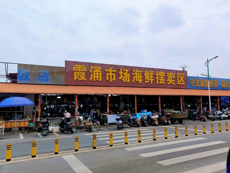 港人北上惠州霞涌食海鮮1 港人北上惠州霞涌食海鮮1