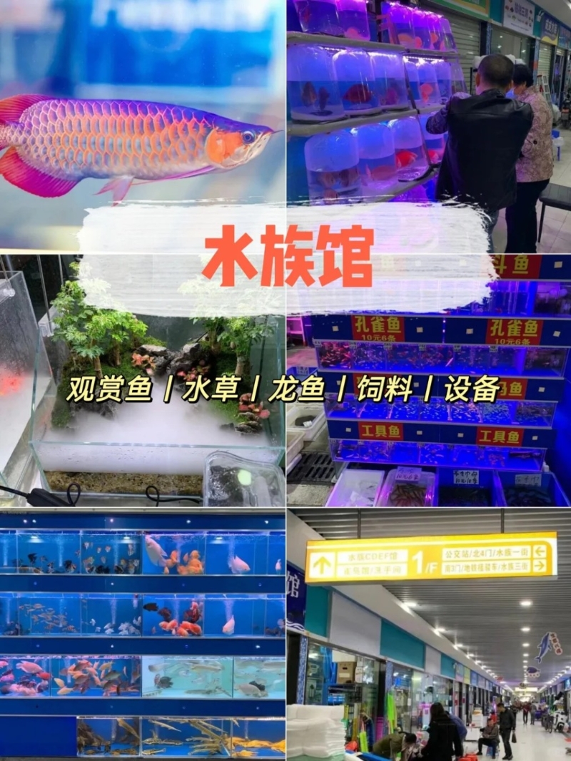 魚類區