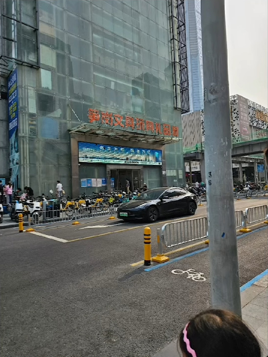 李漫芬經羅湖北上紀錄恐怖人潮7 李漫芬經羅湖北上紀錄恐怖人潮7