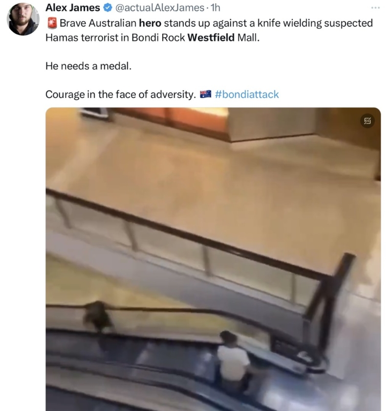 網民大贊男子英勇。