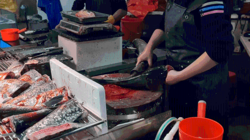 即劏游水魚(圖片來源:YouTube@小僮同游世界) 即劏游水魚(圖片來源:YouTube@小僮同游世界)