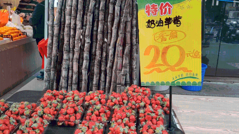 士多啤梨¥20/一大盒(圖片來源:YouTube@小僮同游世界) 士多啤梨¥20/一大盒(圖片來源:YouTube@小僮同游世界)