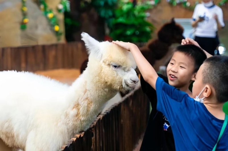 深圳親子游2024︳深圳野恩動物園低至$66親親小動物（圖片來源：小紅書@景景同學）