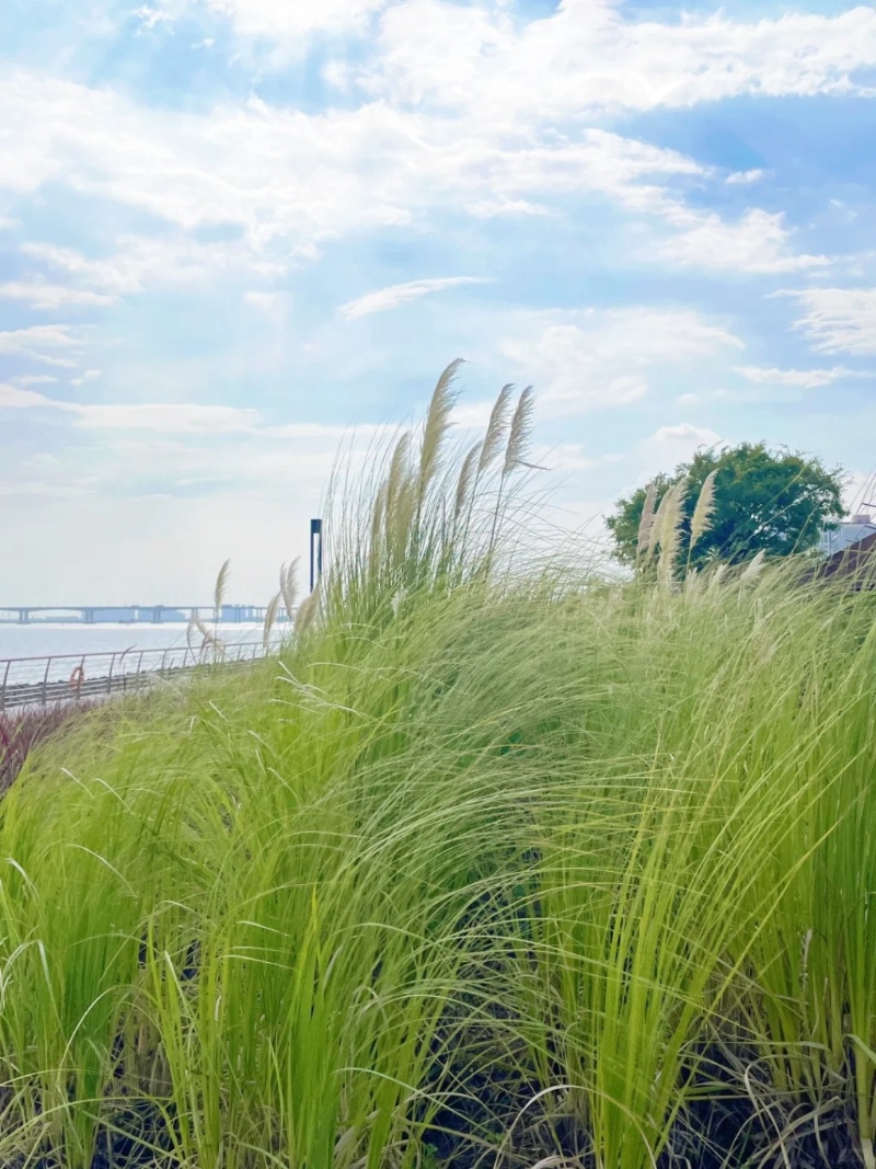 郊游好去處 郊游好去處