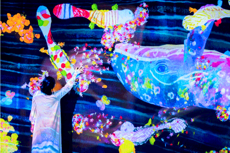 深圳 teamLab 共創！未來園