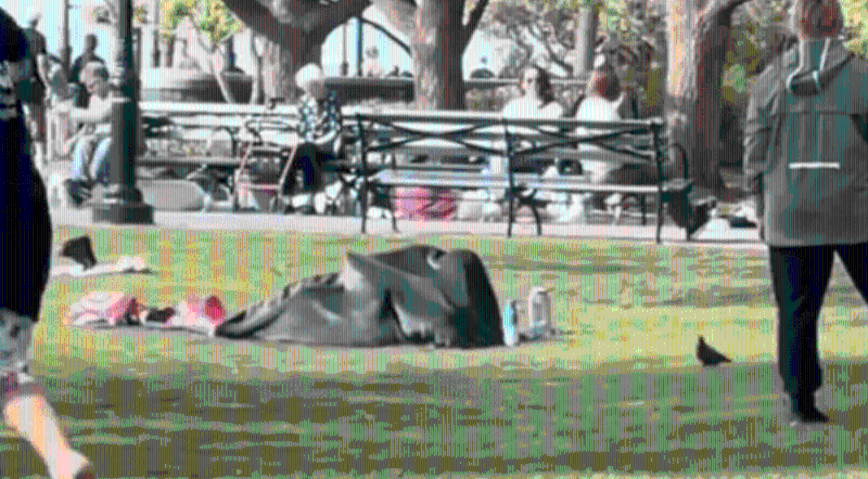 美國紐約公園驚見男女活春宮 美國紐約公園驚見男女活春宮