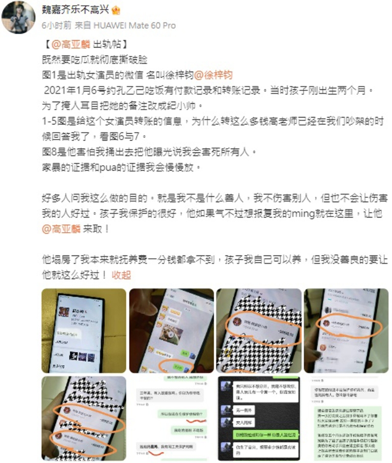 魏嘉公開高亞麟與小三徐梓鈞曖昧對話內容及匯款紀錄。