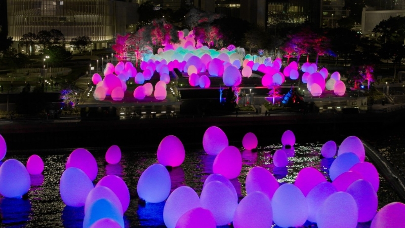 海上版TeamLab香港毋須預約免費參觀