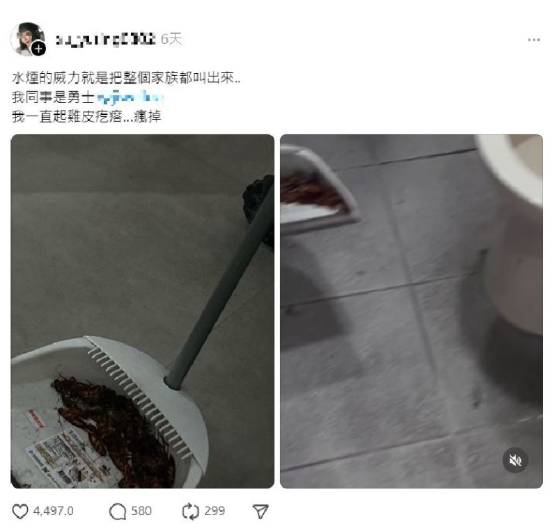 臺女在Threads分享時，指自己殺蟑螂的方法是用“水煙”。