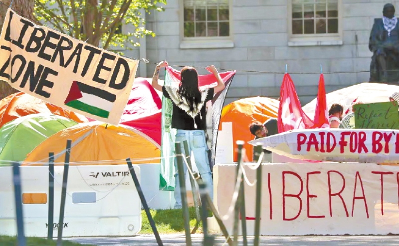 親巴示威者 親巴示威者