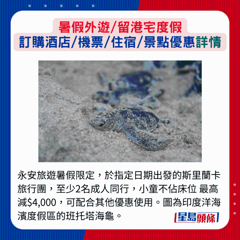 永安旅游暑假限定，于指定日期出發的斯里蘭卡旅行團，至少2名成人同行，小童不占床位 最高減$4,000，可配合其他優惠使用。 圖為印度洋海濱度假區的班托塔海龜。