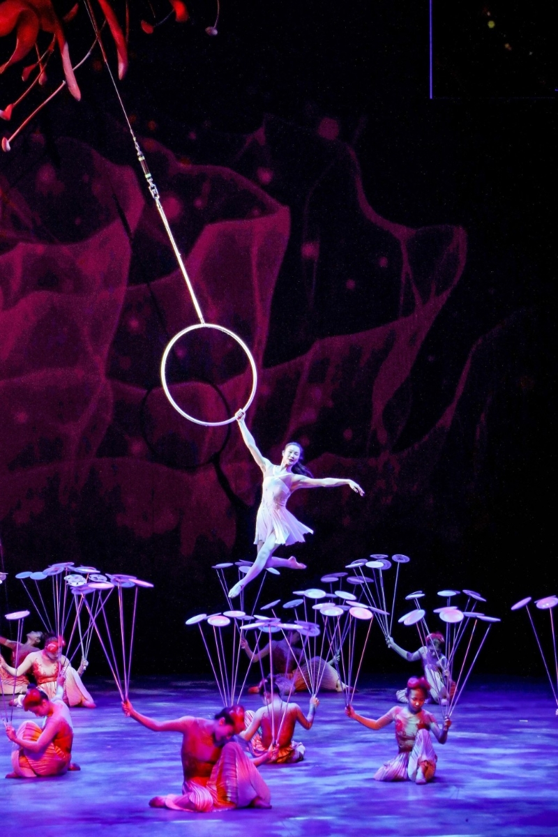 國際綜藝合家歡 國際綜藝合家歡